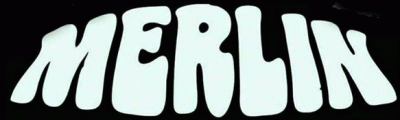 logo Merlin (USA-2)